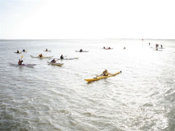 IPP 4 forberedende tur til Esbjerg/Vadehavet 